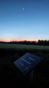 Whatsapp image 2025 04 30 à 21.45.14 63fbb0ba