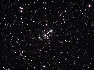 Whatsapp image 2025 05 01 à 00.49.48 488e5ede