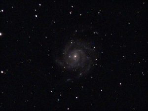 Whatsapp image 2025 05 01 à 00.50.59 a4923ea6