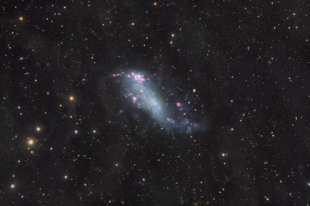 IC2574Vetter1050
