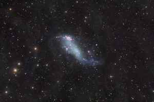 IC2574Vetter1050